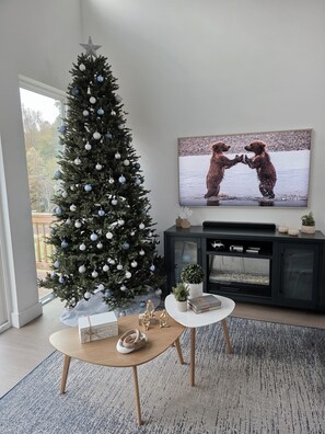 TV, fireplace, video games, foosball