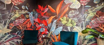 ディモラ ムネゲッテ 181