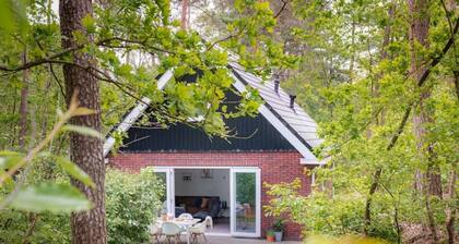 Grove Den I Heerlijk vakantiehuis met bosrijke tuin