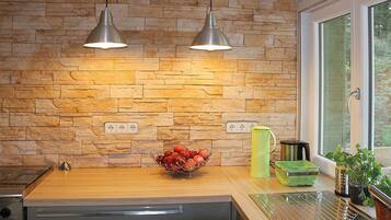 Fridge, oven, stovetop, dishwasher