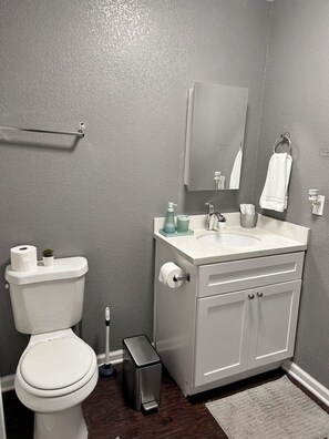 Hair dryer, towels, soap, shampoo