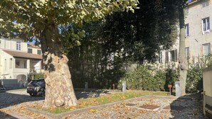 A tree-lined street with a gravel path, a parked car, and buildings in the background. - Verdi 1928, A Cozy Wallside Retreat (Lucca)