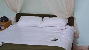 Quarto solteiro luxo, vista para o pátio | Wi-Fi de cortesia, roupa de cama