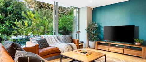 Televisión y chimenea