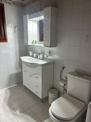 Hair dryer, towels, soap, toilet paper