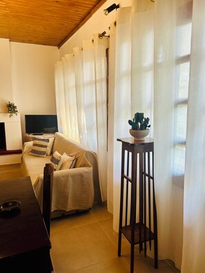 A cozy living room with a sofa, a TV, a small table with a plant, and sheer curtains. - Cozy, bright home near to the nature for calm moments. (Nea Palatia)