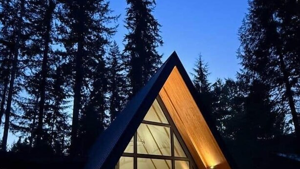 Un edificio moderno de forma triangular con amplios ventanales, rodeado de árboles altos.