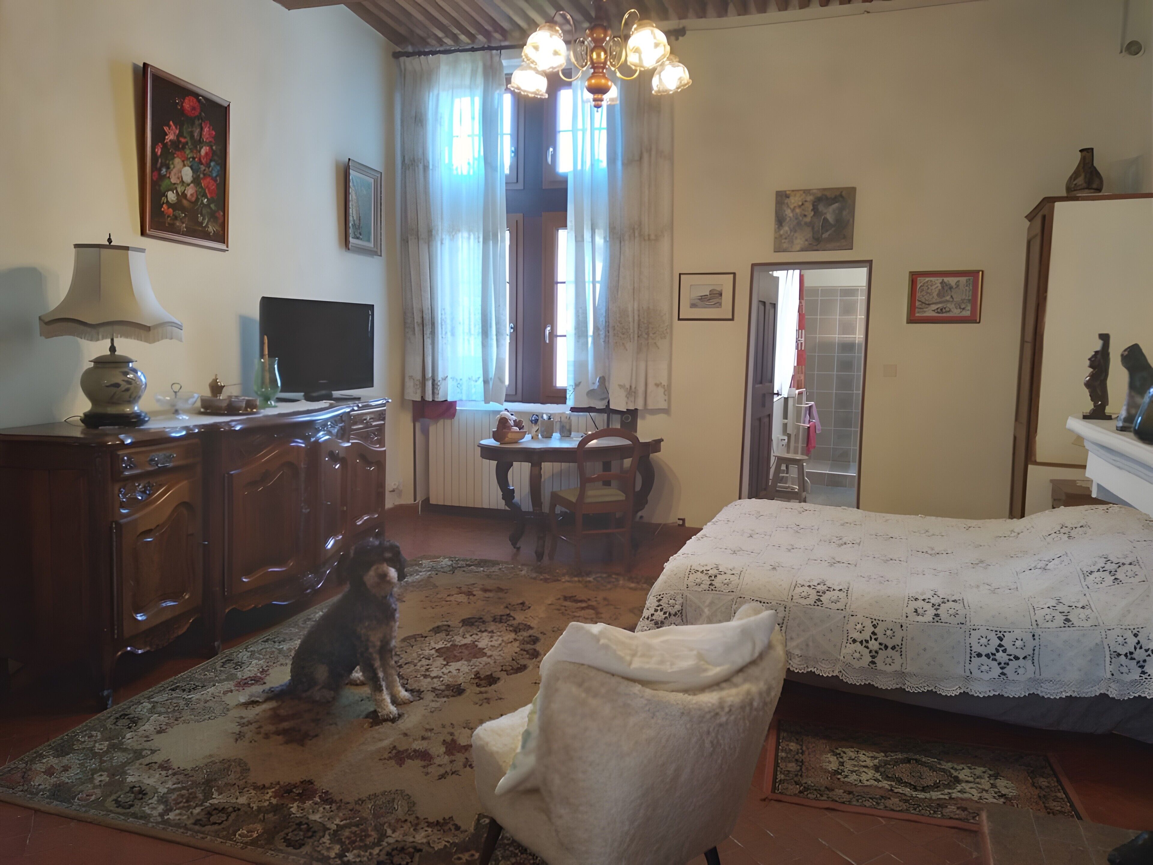 Een kamer met een bed, een stoel, een bureau, een televisie en een hond.