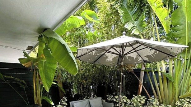 A covered outdoor seating area with a table and chairs, surrounded by lush tropical plants and a large umbrella providing shade. - Palm & Paradise Luxe Retreat (Comfort meets City) (Fort Lauderdale)