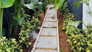 A narrow pathway flanked by lush green plants and a brick wall. - Palm & Paradise Luxe Retreat (Comfort meets City) (Fort Lauderdale)