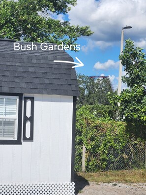 Property grounds - One bedroom inlaw house by Bush Gardens - USF (Tampa)