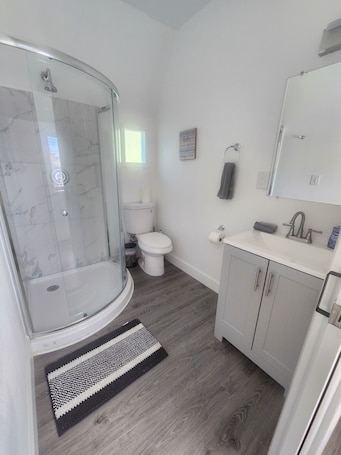 Shower, hair dryer, towels, soap. One bedroom inlaw house by Bush Gardens - USF