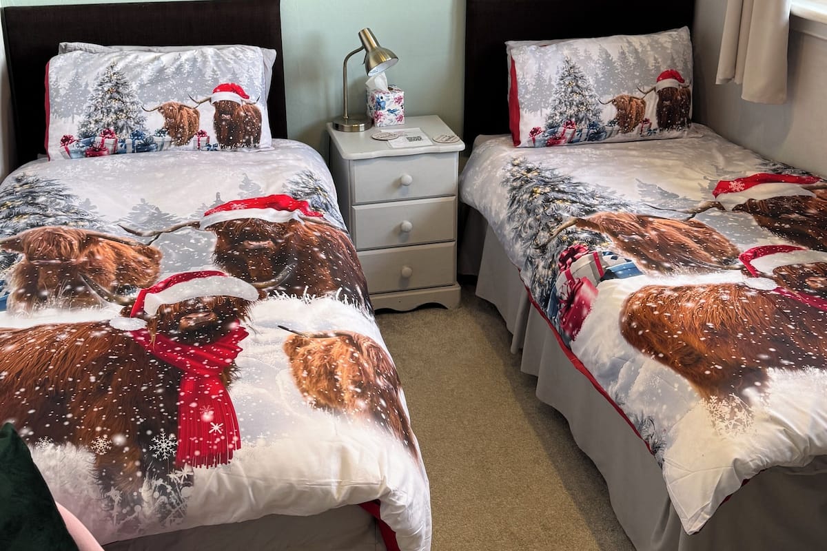 A bedroom with two beds, each with a Christmas-themed duvet cover, a nightstand with a lamp and a tissue box, and a painting of a bull on the wall.