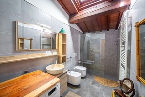 Shower, hair dryer, bidet, towels