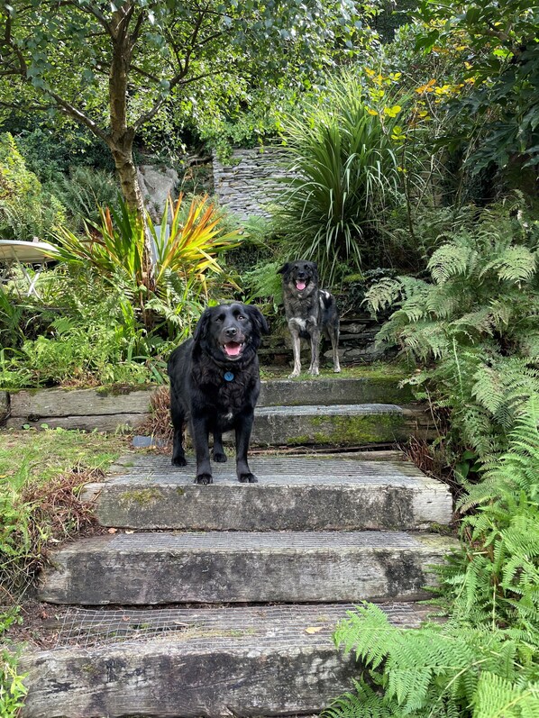 Áreas de la propiedad