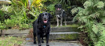 Cosy Welsh Cottage Eryri