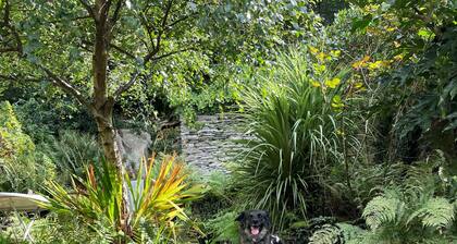 Cosy Welsh Cottage Eryri
