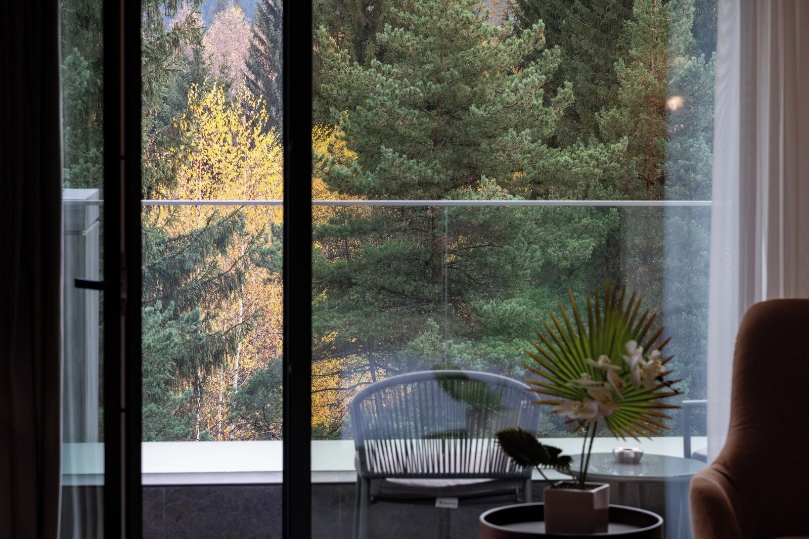 Un balcon donnant sur une zone boisée, avec une chaise et un pot de fleurs.