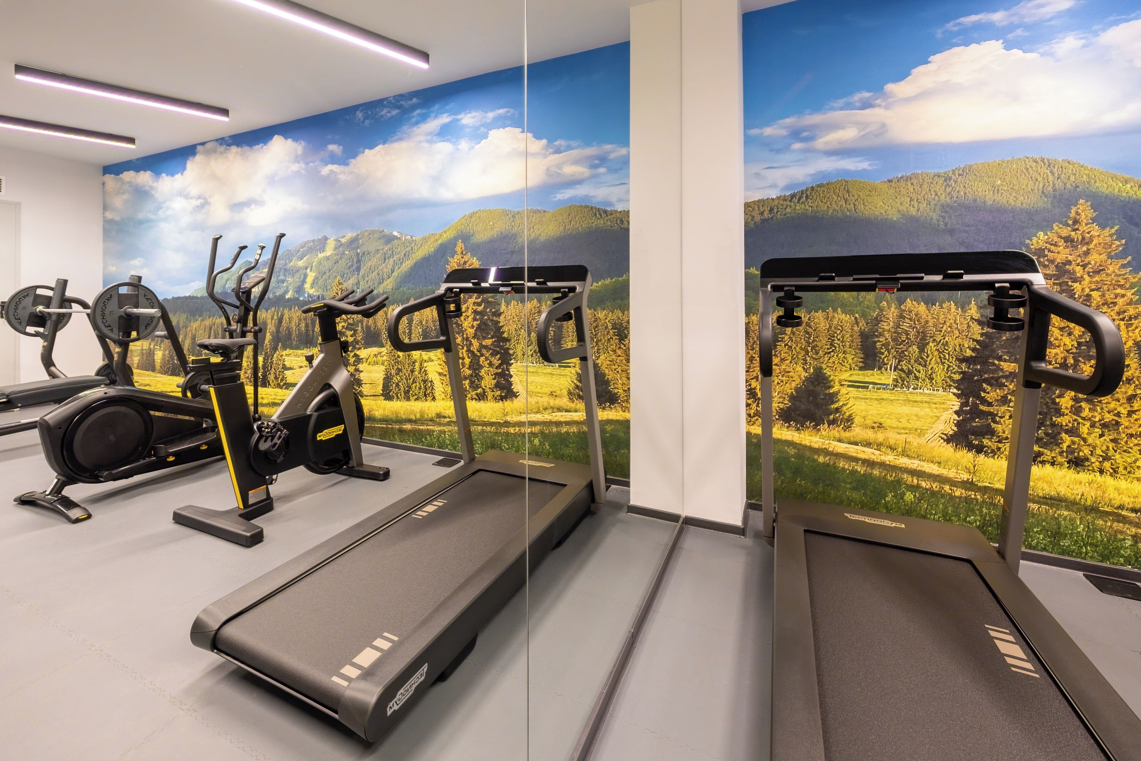A gym with treadmills, elliptical machines, and weight machines, featuring a scenic mural of a mountain landscape.