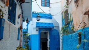 Un estrecho callejón con edificios pintados en azul y blanco, plantas en macetas a lo largo de los lados y una puerta visible al final.