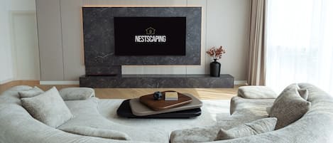 TV, fireplace, books