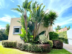 Àrea exterior de l'allotjament