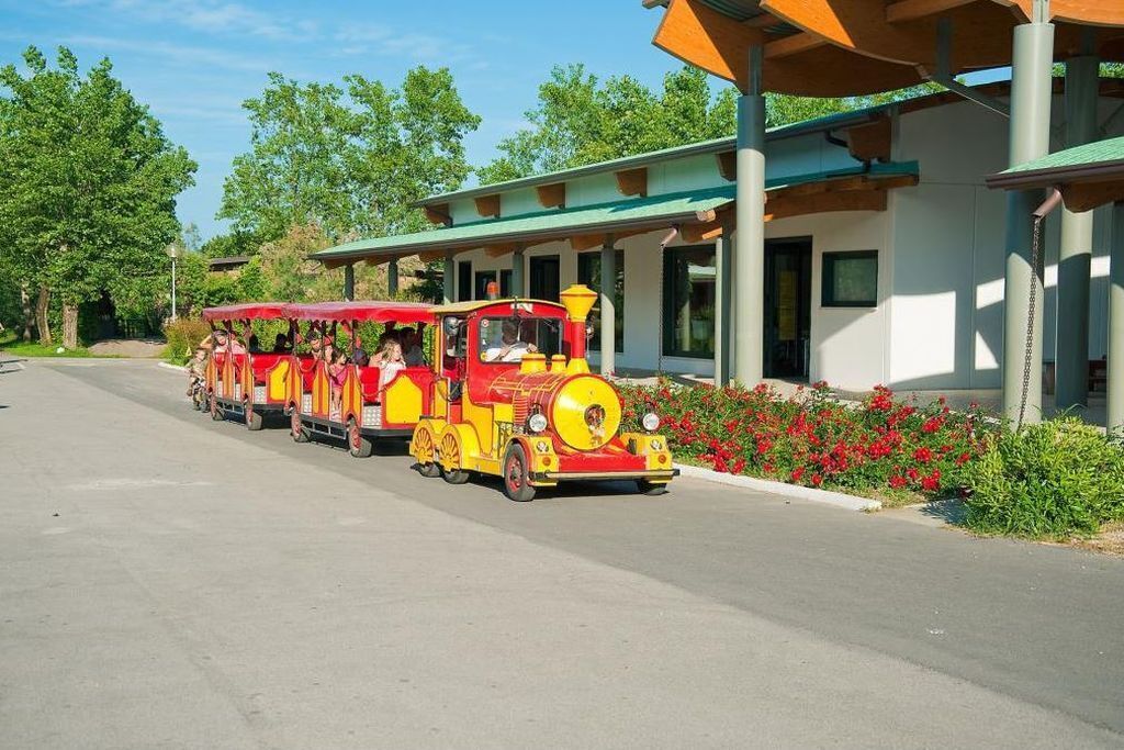 A colorful train with passengers, passing by a building with a green roof and red flowers.