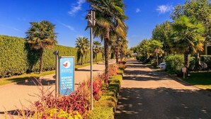 A pathway lined with palm trees and a sign welcoming visitors to a butterfly garden. - Butterfly Vacation Park: Happy Superior Mobile Home for 7 People (Peschiera del Garda)