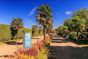 A pathway lined with palm trees and a sign welcoming visitors to a butterfly garden.