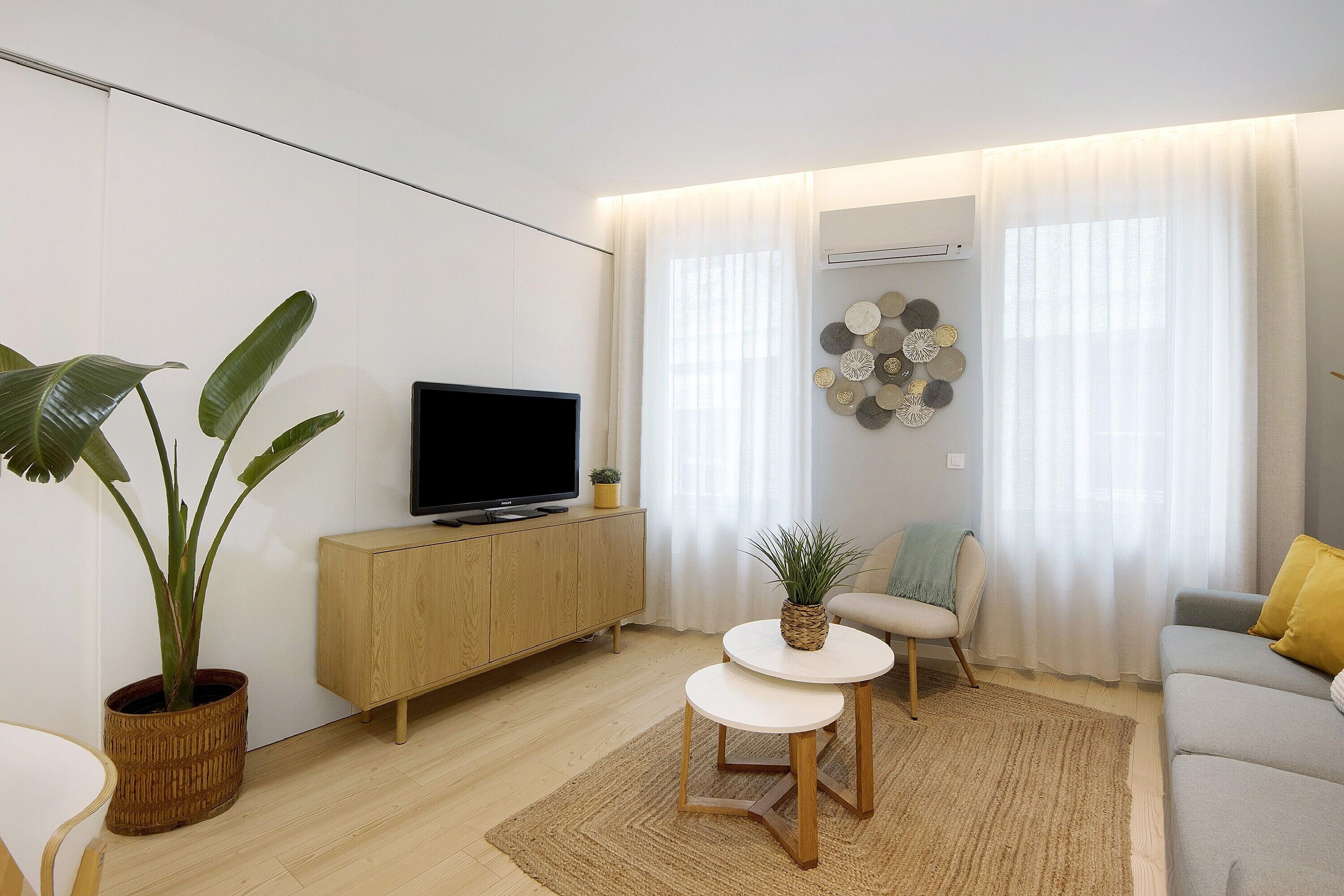 TV