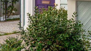 Une maison avec une porte violette, un revêtement extérieur blanc et un toit rouge.