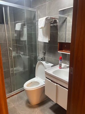 Dusche, Handtücher, Seife, Toilettenpapier