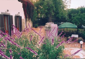 Overnattingsstedets uteområder