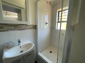 Shower, towels, soap, toilet paper