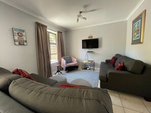 تلفزيون، مدفأة