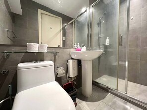 Shower, hair dryer, bidet, towels