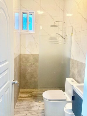 Shower, hair dryer, bidet, towels