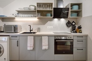 Fridge, microwave, stovetop, dishwasher