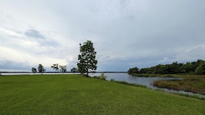 Ein grünes Feld mit einem großen Baum und einem Gewässer im Hintergrund.