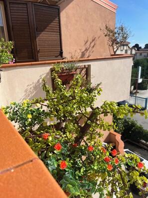 تفاصيل الفندق من الخارج