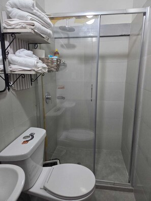 シャワー、タオル、トイレットペーパー