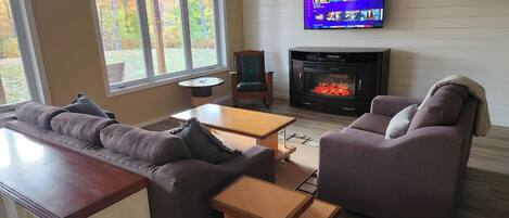 Smart TV, fireplace, DVD player, books