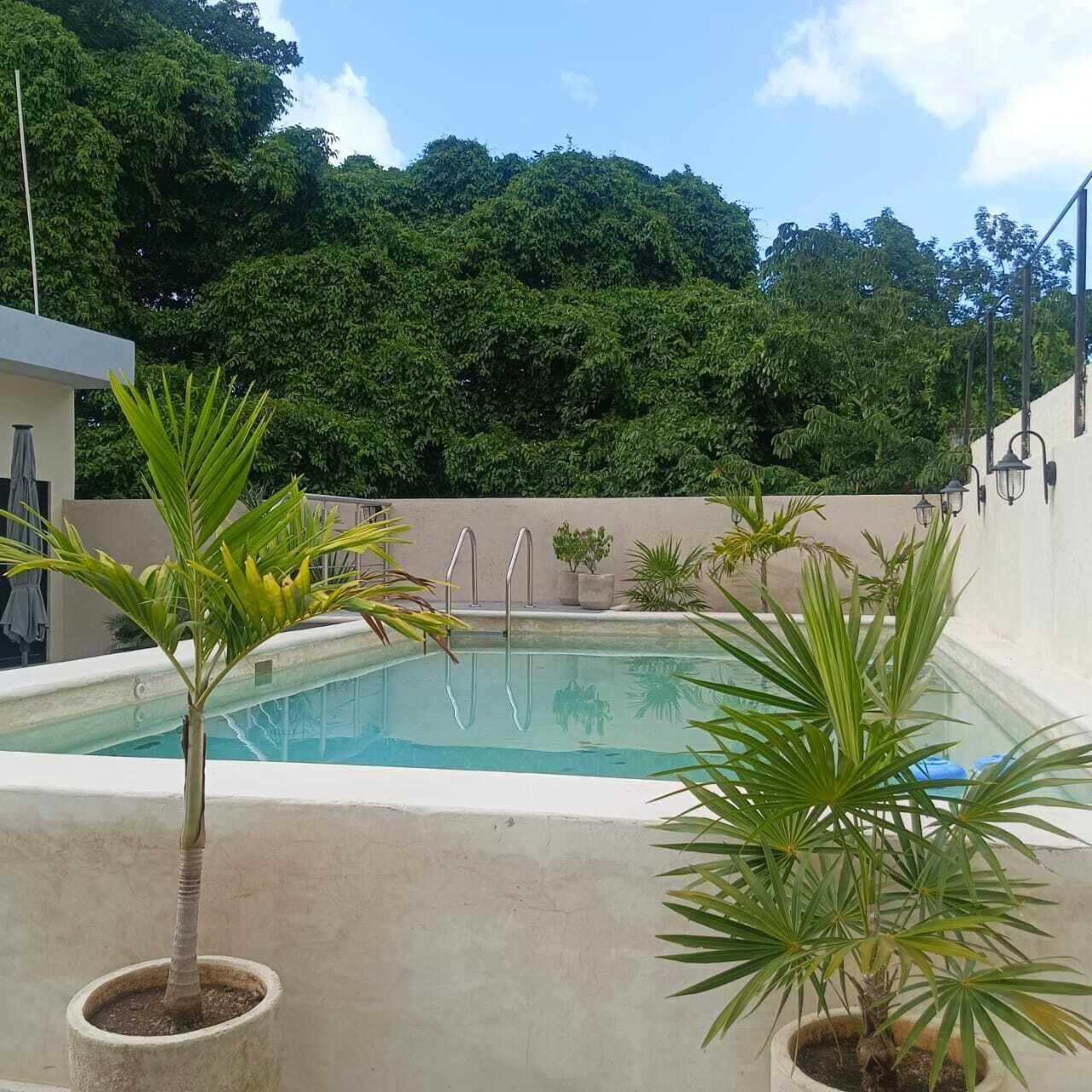 야외 수영장, 07:00 ~ 22:00 오픈, 수영장 파라솔