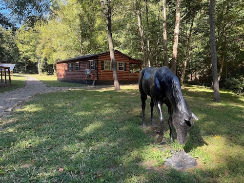 Cozy Cabin Escape in Borden, IN – Minutes from Louisville & Outdoor Trails