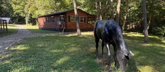 Cozy Cabin Escape in Borden, IN – Minutes from Louisville & Outdoor Trails