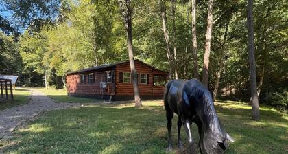 Cozy Cabin Escape in Borden, IN – Minutes from Louisville & Outdoor Trails