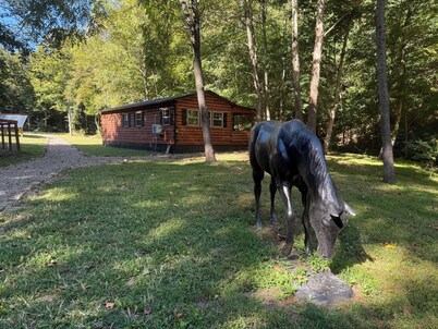 Cozy Cabin Escape in Borden, IN – Minutes from Louisville & Outdoor Trails