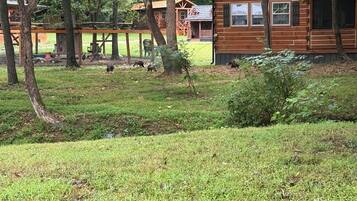 Overnattingsstedets uteområder