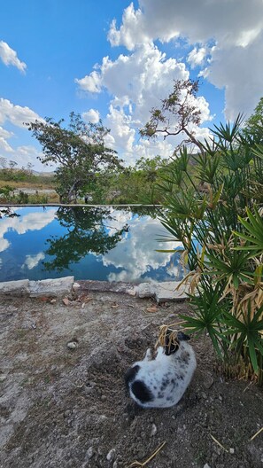 Una piscina al aire libre