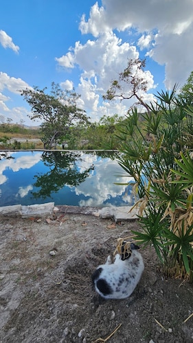 Camping Solar da Colina